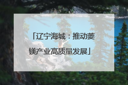 辽宁海城：推动菱镁产业高质量发展