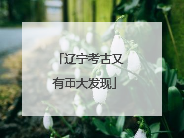 辽宁考古又有重大发现