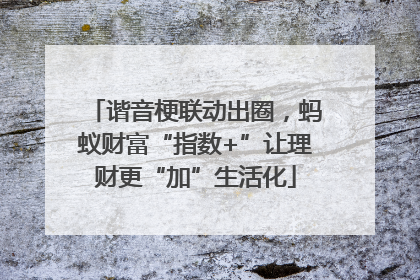 谐音梗联动出圈，蚂蚁财富“指数+”让理财更“加”生活化