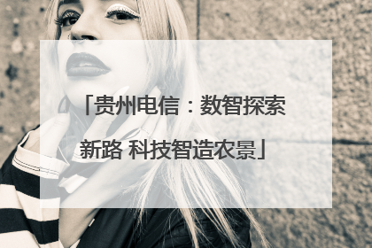 贵州电信：数智探索新路 科技智造农景