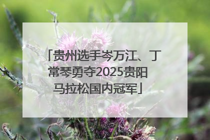 贵州选手岑万江、丁常琴勇夺2025贵阳马拉松国内冠军