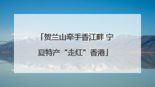 贺兰山牵手香江畔 宁夏特产“走红”香港