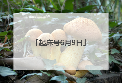 起床号6月9日