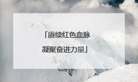 赓续红色血脉 凝聚奋进力量