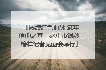 赓续红色血脉 筑牢信仰之基，枣庄市银龄榜样记者见面会举行