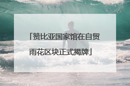 赞比亚国家馆在自贸雨花区块正式揭牌