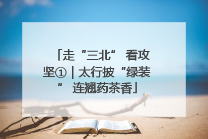 走“三北” 看攻坚①｜太行披“绿装” 连翘药茶香