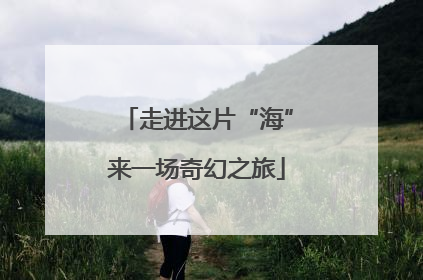 走进这片“海”来一场奇幻之旅