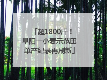 超1800斤！阜阳一小麦示范田单产纪录再刷新
