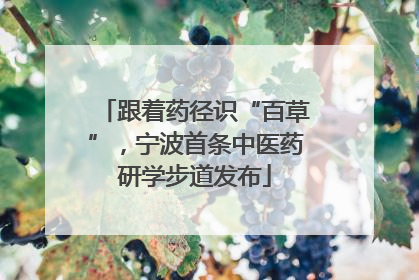 跟着药径识“百草”，宁波首条中医药研学步道发布