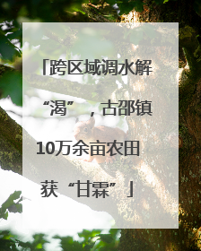 跨区域调水解“渴”，古邵镇10万余亩农田获“甘霖”