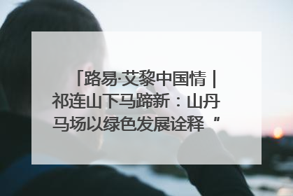 路易·艾黎中国情｜祁连山下马蹄新：山丹马场以绿色发展诠释“两山”理论实践