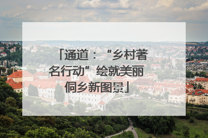 通道：“乡村著名行动”绘就美丽侗乡新图景