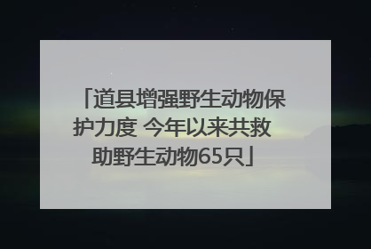 道县增强野生动物保护力度 今年以来共救助野生动物65只