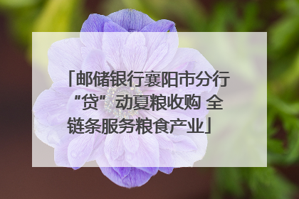 邮储银行襄阳市分行“贷”动夏粮收购 全链条服务粮食产业