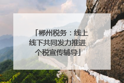 郴州税务：线上线下共同发力推进个税宣传辅导