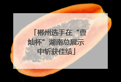 郴州选手在“曹灿杯”湖南总展示中斩获佳绩
