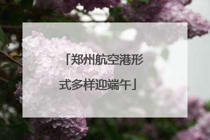 郑州航空港形式多样迎端午