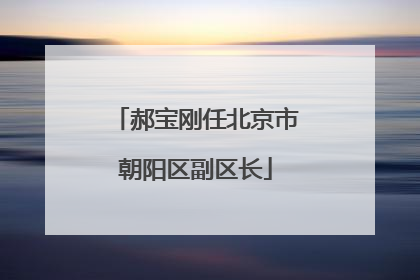 郝宝刚任北京市朝阳区副区长