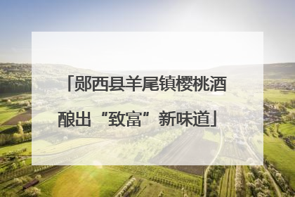 郧西县羊尾镇樱桃酒酿出“致富”新味道