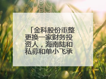 金科股份重整更换一家财务投资人，海南陆和私募和单小飞承接其投资额度