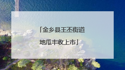 金乡县王丕街道地瓜丰收上市