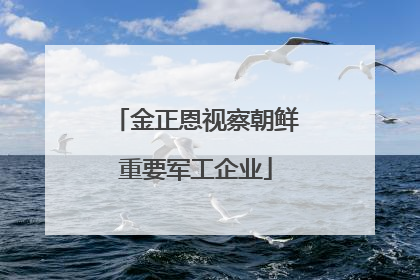 金正恩视察朝鲜重要军工企业
