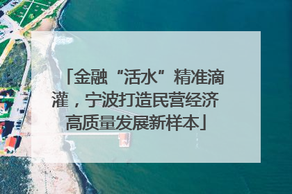 金融“活水”精准滴灌，宁波打造民营经济高质量发展新样本