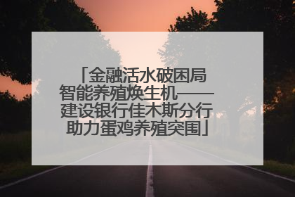 金融活水破困局 智能养殖焕生机——建设银行佳木斯分行助力蛋鸡养殖突围