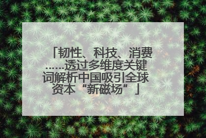 韧性、科技、消费……透过多维度关键词解析中国吸引全球资本“新磁场”