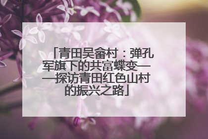 青田吴畲村：弹孔军旗下的共富蝶变——探访青田红色山村的振兴之路