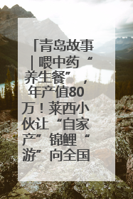 青岛故事｜喂中药“养生餐”，年产值80万！莱西小伙让“自家产”锦鲤“游”向全国