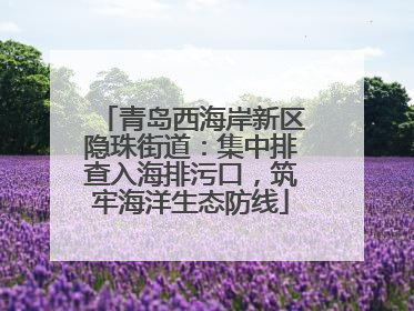 青岛西海岸新区隐珠街道：集中排查入海排污口，筑牢海洋生态防线