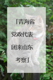 青海省党政代表团来山东考察