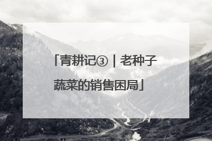 青耕记③｜老种子蔬菜的销售困局