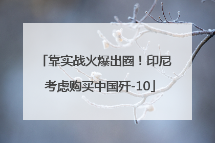 靠实战火爆出圈！印尼考虑购买中国歼-10