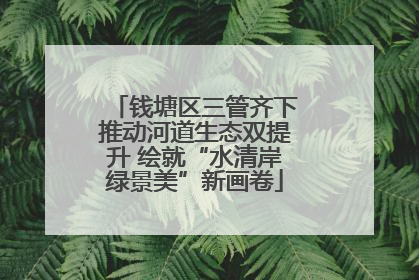 钱塘区三管齐下推动河道生态双提升 绘就“水清岸绿景美”新画卷
