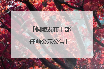 铜陵发布干部任前公示公告