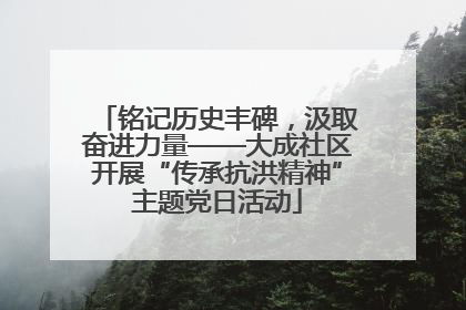 铭记历史丰碑，汲取奋进力量——大成社区开展“传承抗洪精神”主题党日活动