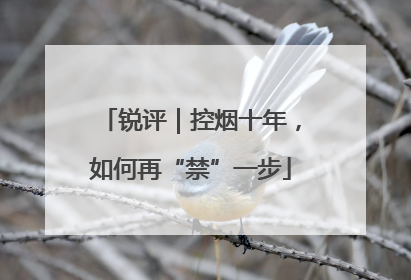 锐评｜控烟十年，如何再“禁”一步