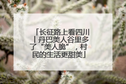 长征路上看四川丨丹巴美人谷里多了“美人脆”，村民的生活更甜美
