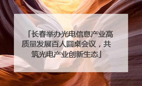 长春举办光电信息产业高质量发展百人圆桌会议，共筑光电产业创新生态