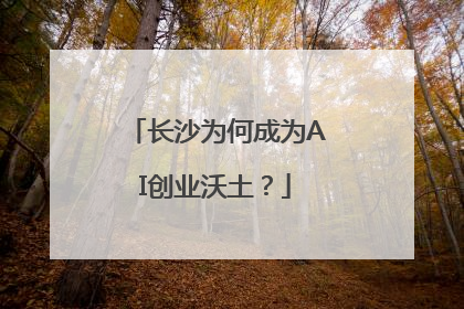 长沙为何成为AI创业沃土？