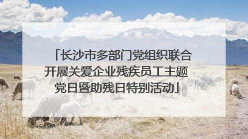 长沙市多部门党组织联合开展关爱企业残疾员工主题党日暨助残日特别活动