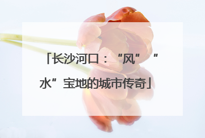 长沙河口：“风”“水”宝地的城市传奇