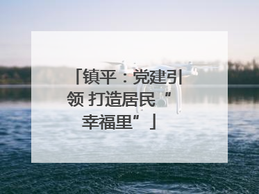 镇平：党建引领 打造居民“幸福里”