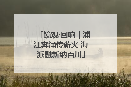 镜观·回响｜浦江奔涌传薪火 海派融新纳百川