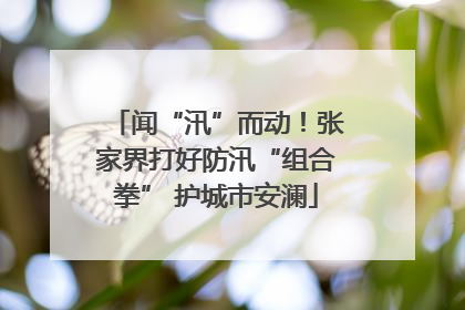 闻“汛”而动！张家界打好防汛“组合拳” 护城市安澜