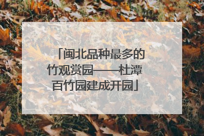 闽北品种最多的竹观赏园——杜潭百竹园建成开园