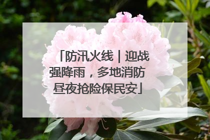 防汛火线｜迎战强降雨，多地消防昼夜抢险保民安